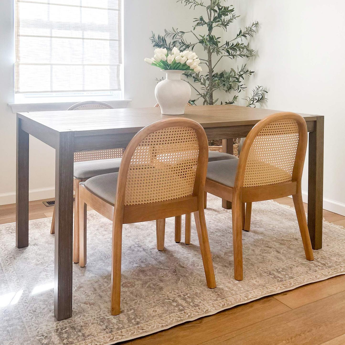 Salem Mid Century Modern Rattan Dining Chairs (set of 2)