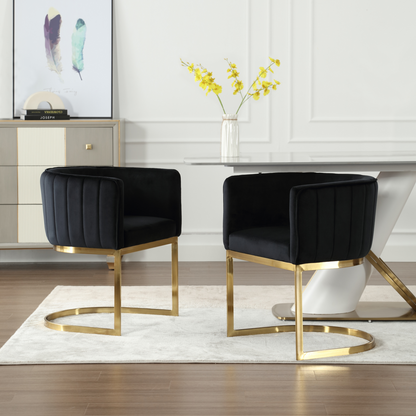 Windell Dining Chairs (set of 2)