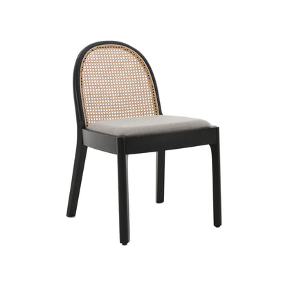 Salem Mid Century Modern Rattan Dining Chairs (set of 2)