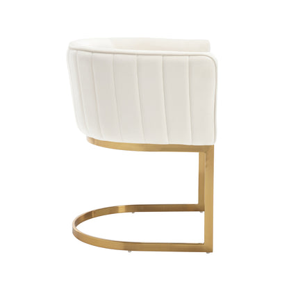 Windell Dining Chairs (set of 2)