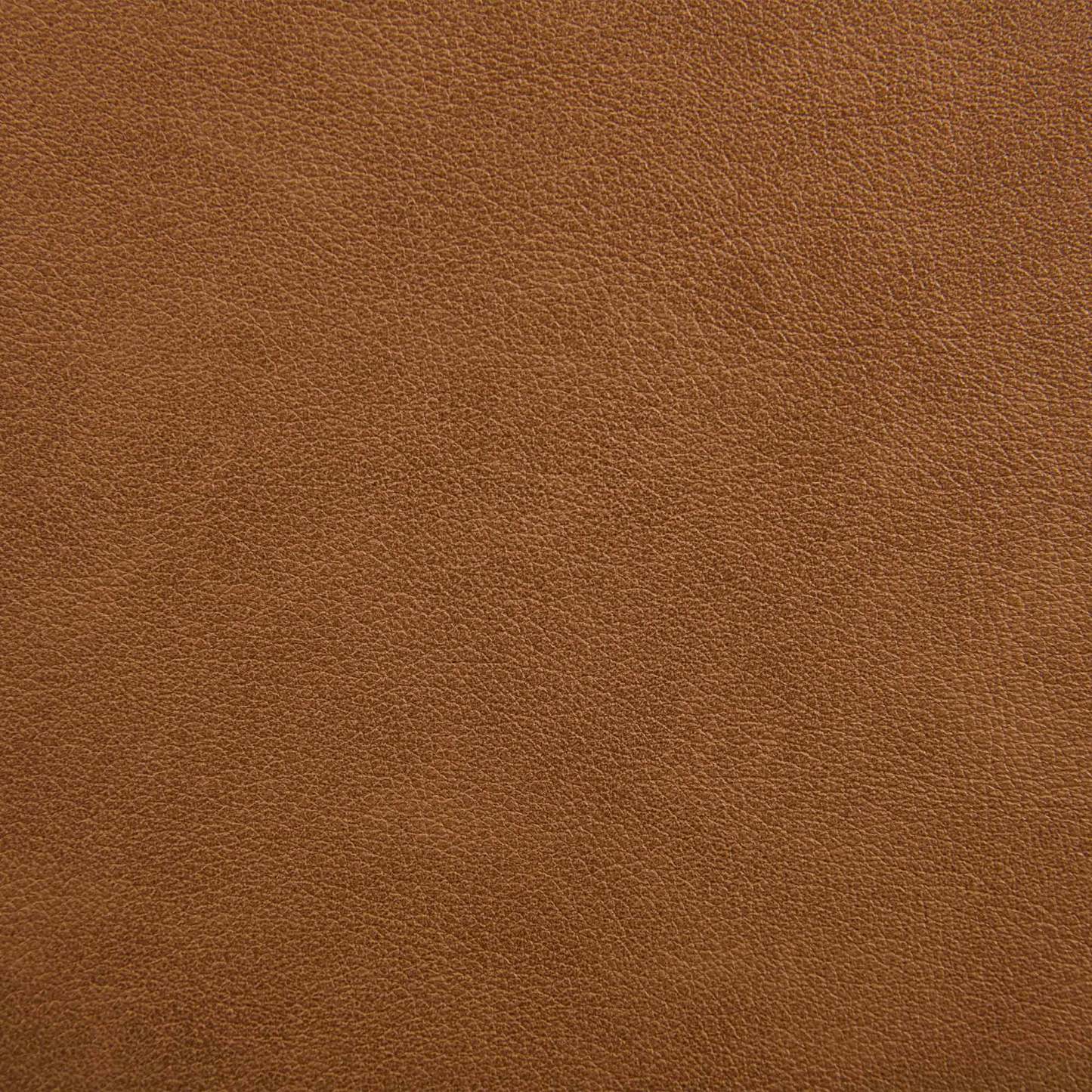 Arden Bar and Counter Stools (set of 2)