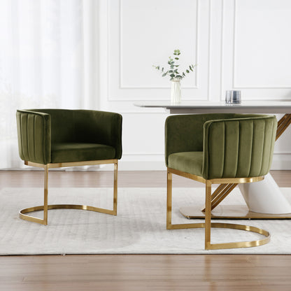 Windell Dining Chairs (set of 2)