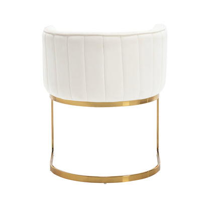 Windell Dining Chairs (set of 2)