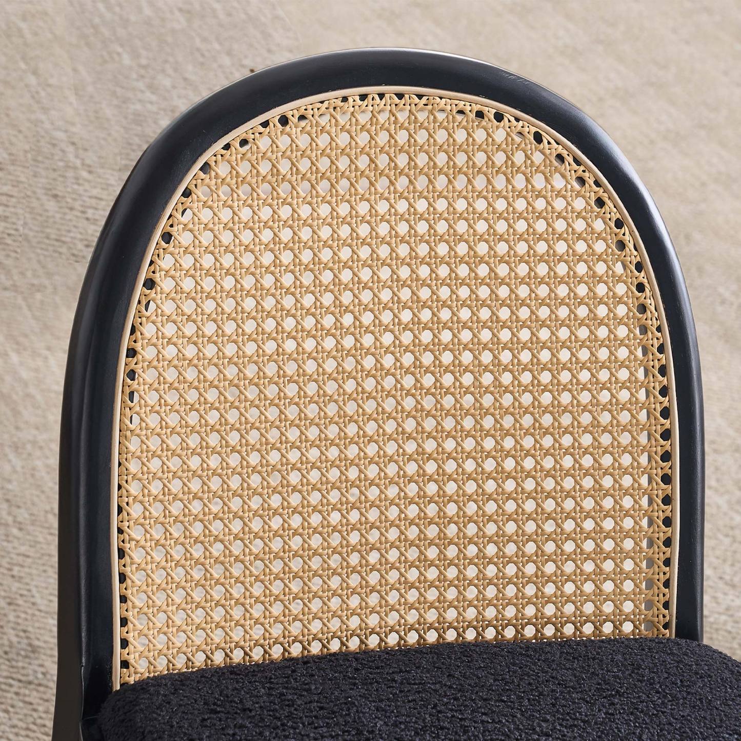 Salem Mid Century Modern Rattan Dining Chairs (set of 2)
